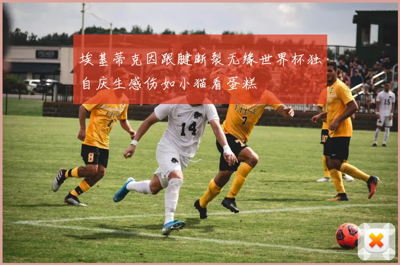 埃基蒂克因跟腱断裂无缘世界杯独自庆生感伤如小猫看蛋糕