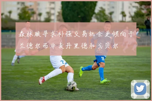森林狼寻求补强交易机会更倾向于兰德尔而非麦丹里德和戈贝尔