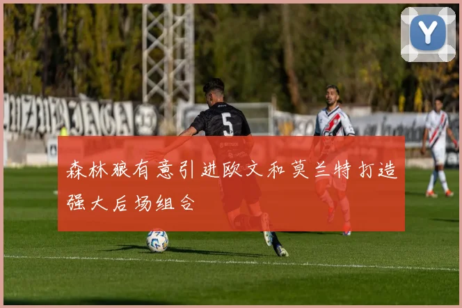 森林狼有意引进欧文和莫兰特打造强大后场组合